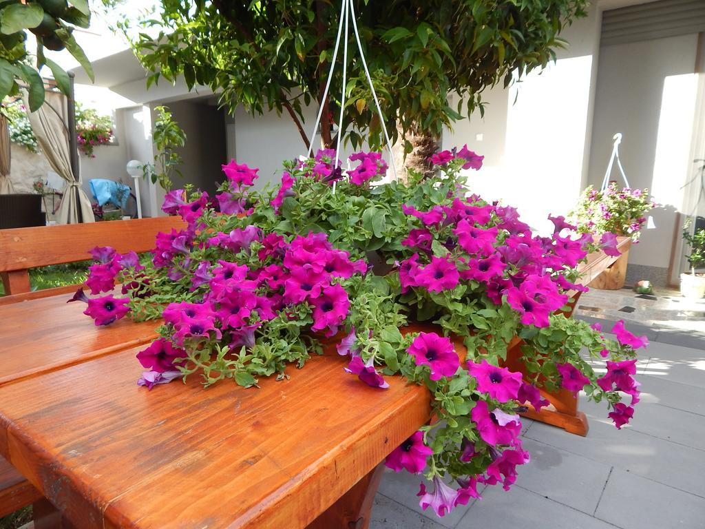 Apartments & Rooms Marinka Zadar Ngoại thất bức ảnh
