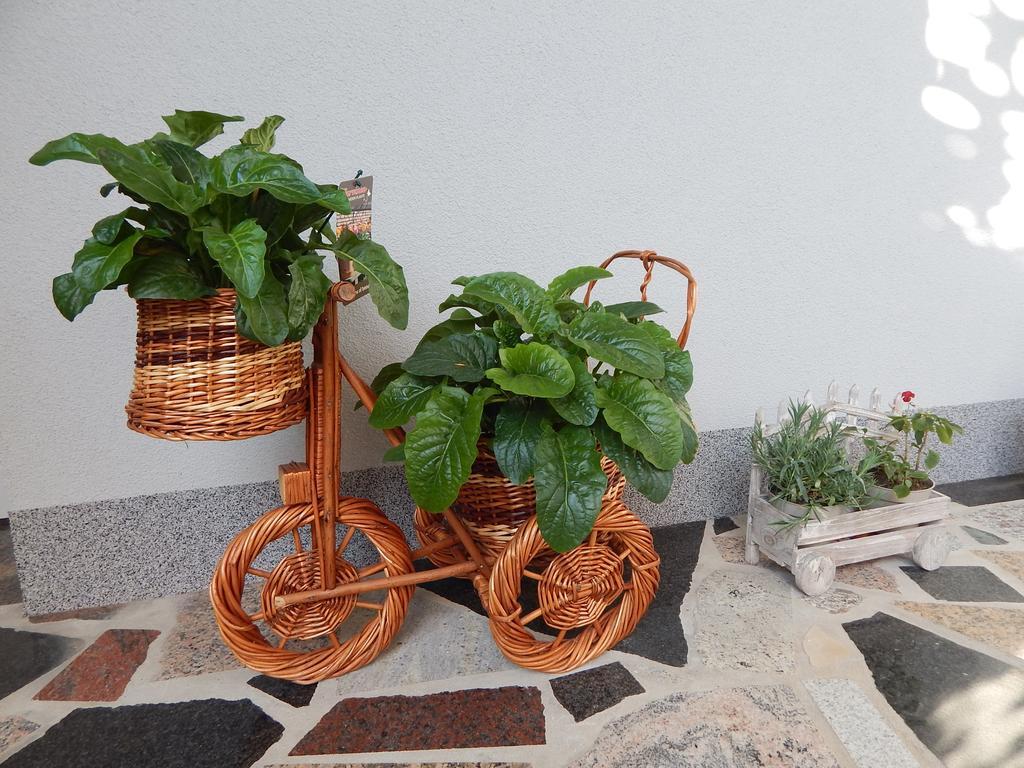 Apartments & Rooms Marinka Zadar Ngoại thất bức ảnh