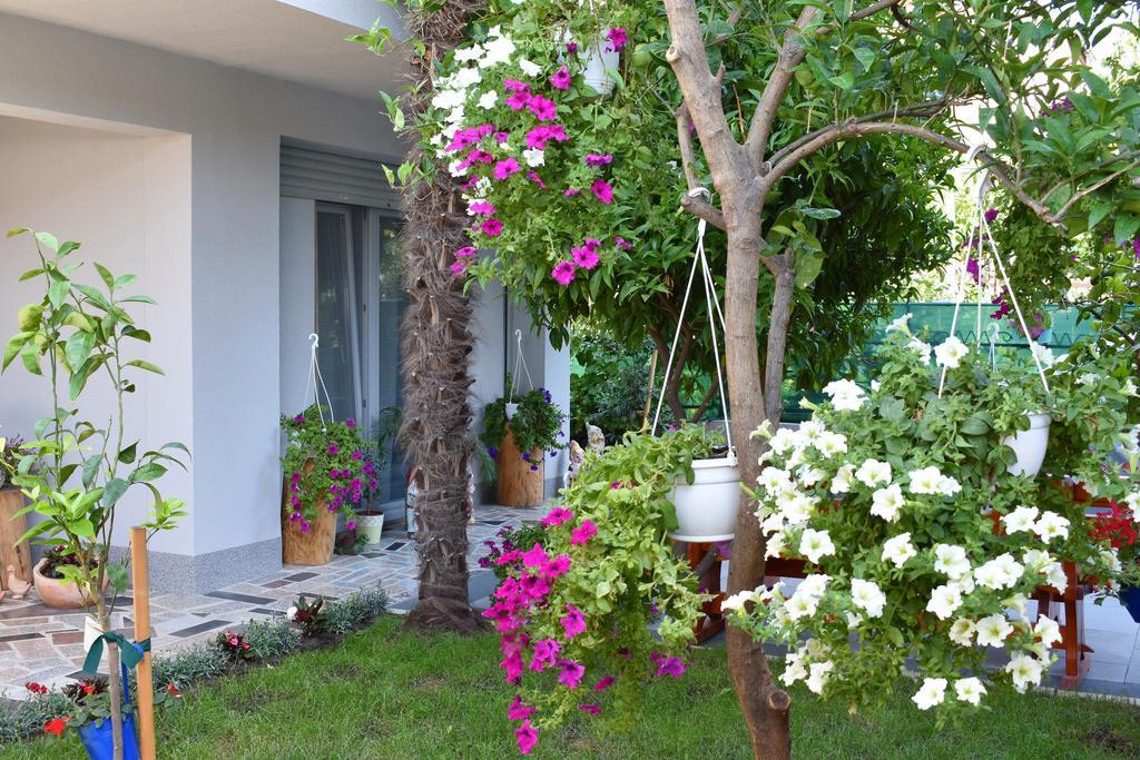 Apartments & Rooms Marinka Zadar Ngoại thất bức ảnh