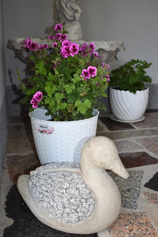 Apartments & Rooms Marinka Zadar Ngoại thất bức ảnh